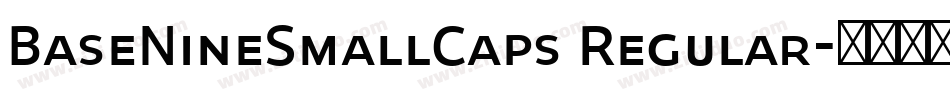 BaseNineSmallCaps Regular字体转换
